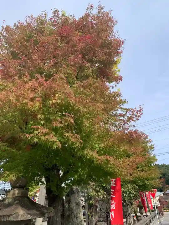飛驒天満宮(岐阜県)