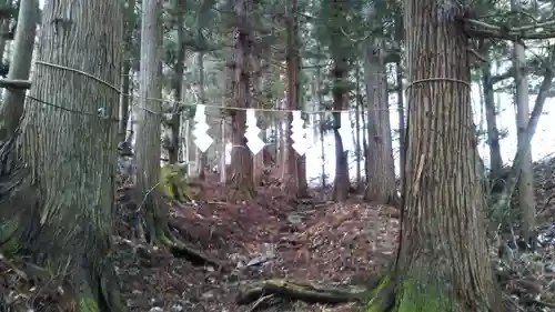 鵜鳥神社の自然