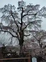 妙徳寺(福島県)