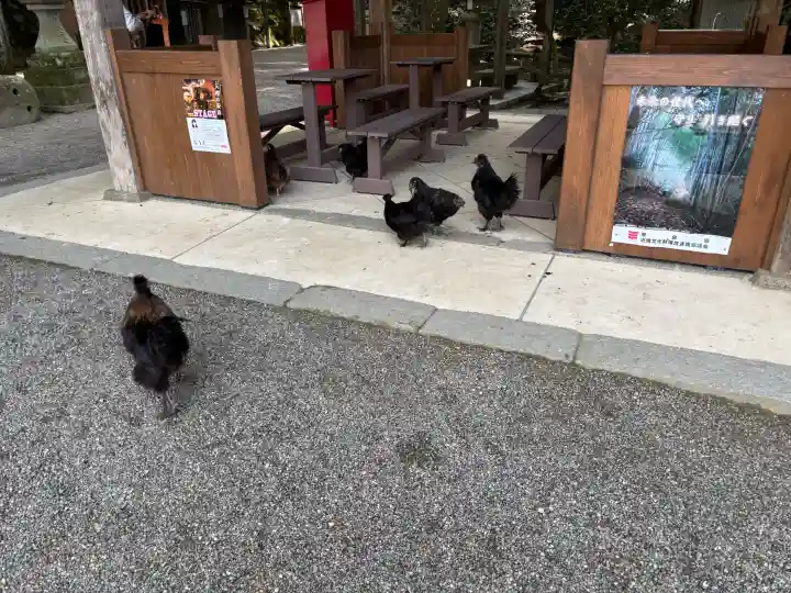 石上神宮の{uncategorized: "未分類", other: "その他", undefined: "問題あり", building: "その他建物", grave: "お墓", sacred_gate: "鳥居", guardian: "狛犬", statue: "像", buddha: "仏像", history: "歴史", nature: "自然", garden: "庭園", animal: "動物", pagoda: "塔", temizu: "手水舎", mountain_gate: "山門・神門", sanctuary: "本殿・本堂", subordinate: "末社・摂社", art: "芸術", scenery: "景色", jizo: "地蔵", ema: "絵馬", goshuin: "御朱印", omikuji: "おみくじ", items: "授与品その他", amulet: "お守り", goshuincho: "御朱印帳", eats: "食事", festival: "お祭り", votive_dance: "神楽", shichigosan: "七五三参", wedding: "結婚式", experience: "体験その他", initially: "初詣", around: "周辺", anti_infection: "感染症対策"}