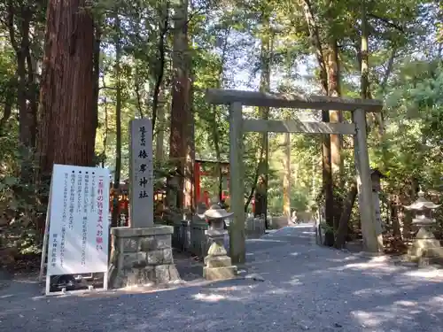 椿大神社の鳥居