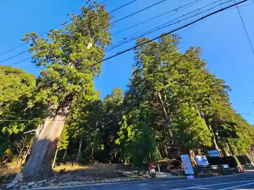 室生龍穴神社(奈良県)