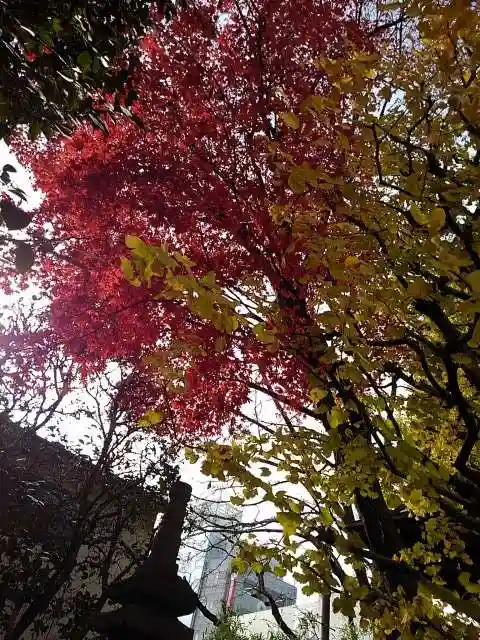 安養寺の建物その他