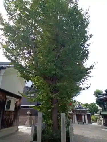 熊野大神宮(大阪府)