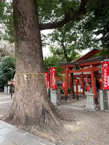 伊奴神社の鳥居