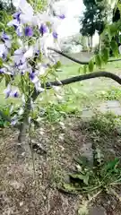 神明社（国府宮神明社）の自然