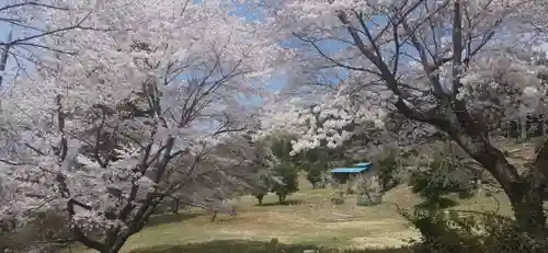 真福寺(埼玉県)
