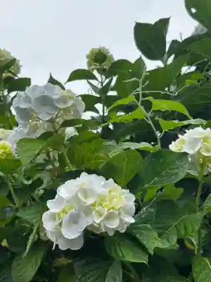 粟井神社(香川県)
