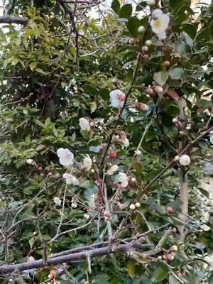 伊勢の国 四天王寺(三重県)