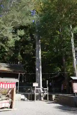 諏訪大社下社秋宮(長野県)