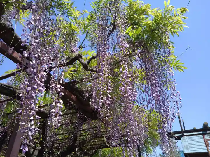 徳王稲荷社・金刀比羅社(愛知県)