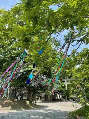 釧路一之宮 厳島神社のお祭り