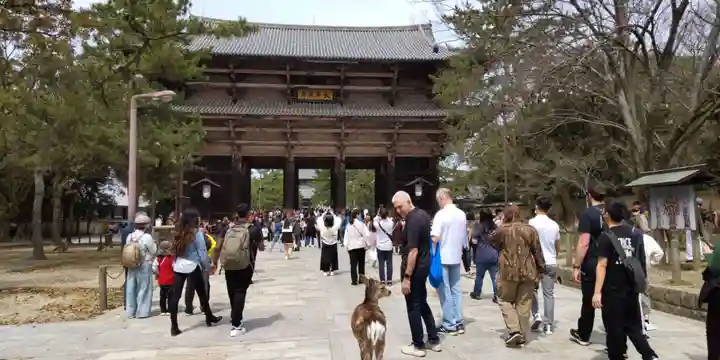 東大寺(奈良県)
