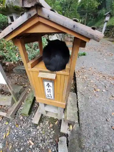 唐澤山神社の動物
