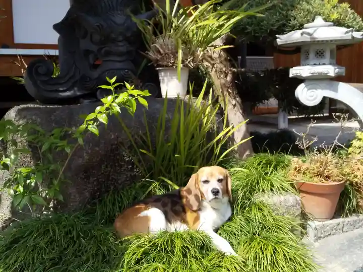 大念寺(大阪府)