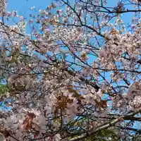 彌彦神社 (伊夜日子神社)の食事