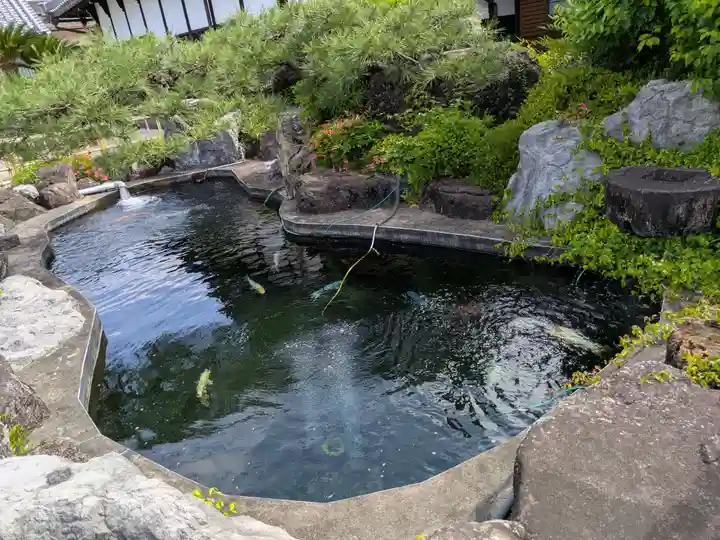 梅龍寺(岐阜県)