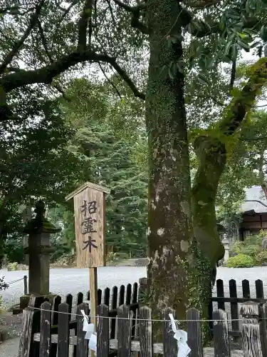 霧島神宮の{uncategorized: "未分類", other: "その他", undefined: "問題あり", building: "その他建物", grave: "お墓", sacred_gate: "鳥居", guardian: "狛犬", statue: "像", buddha: "仏像", history: "歴史", nature: "自然", garden: "庭園", animal: "動物", pagoda: "塔", temizu: "手水舎", mountain_gate: "山門・神門", sanctuary: "本殿・本堂", subordinate: "末社・摂社", art: "芸術", scenery: "景色", jizo: "地蔵", ema: "絵馬", goshuin: "御朱印", omikuji: "おみくじ", items: "授与品その他", amulet: "お守り", goshuincho: "御朱印帳", eats: "食事", festival: "お祭り", votive_dance: "神楽", shichigosan: "七五三参", wedding: "結婚式", experience: "体験その他", initially: "初詣", around: "周辺", anti_infection: "感染症対策"}