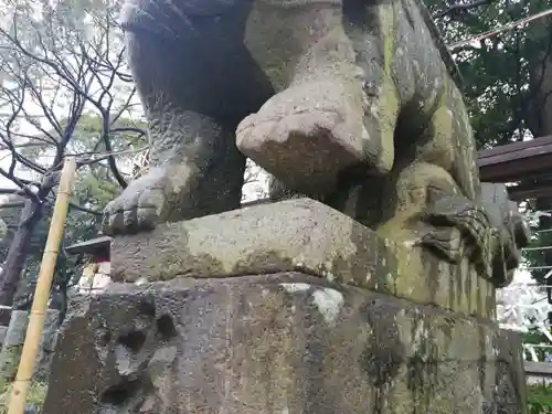 菊田神社の狛犬