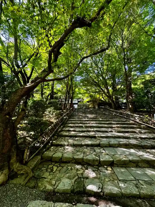 龍安寺(京都府)