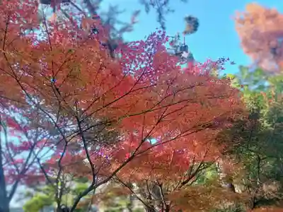 阿部野神社(大阪府)