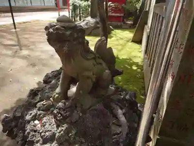 駒込天祖神社の狛犬