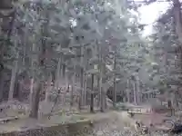 諏訪神社の自然