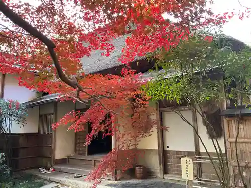 直指庵(京都府)