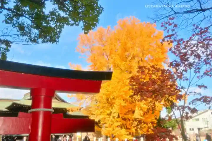 葛飾八幡宮(千葉県)