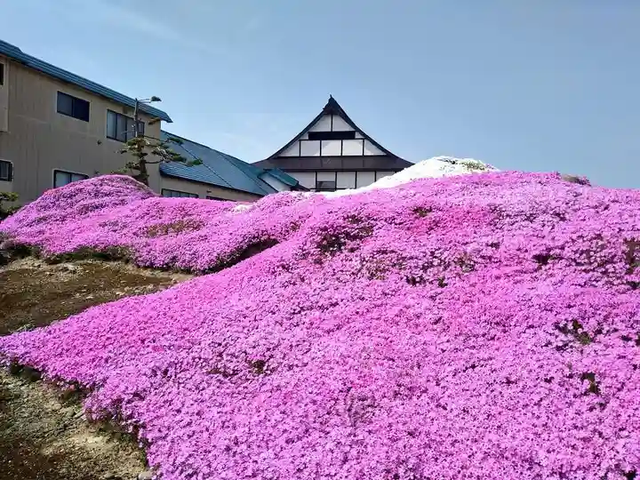 雨竜 専福寺(北海道)