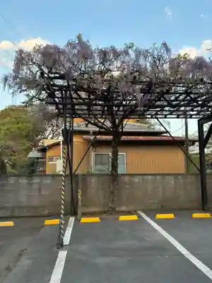 春山寺(千葉県)