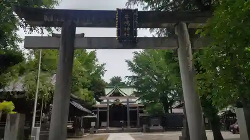 牛嶋神社の鳥居