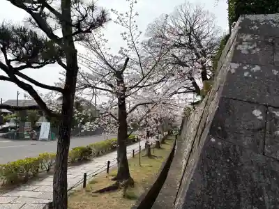 くろ谷 金戒光明寺(京都府)