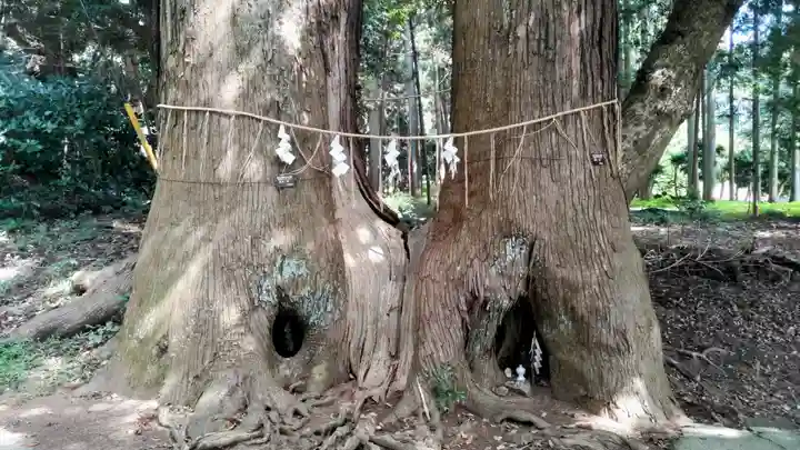 日吉神社(千葉県)