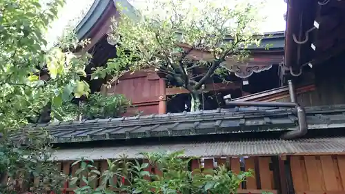 錦天満宮の本殿・本堂