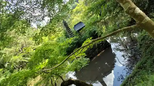 鍬山神社(京都府)