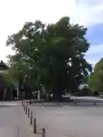 時宗総本山 遊行寺(正式:清浄光寺)(神奈川県)