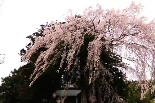 堂山王子神社の庭園