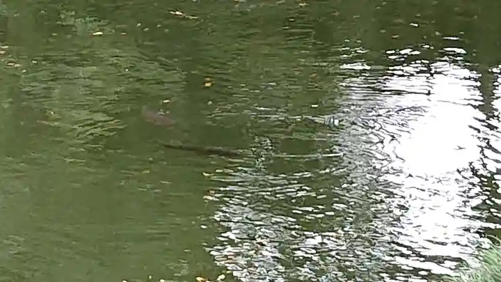 瀧宮神社(埼玉県)