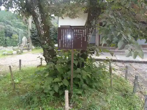 教聖寺(愛知県)