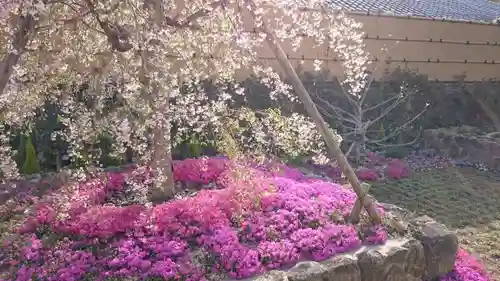 寿量山　速成寺の庭園