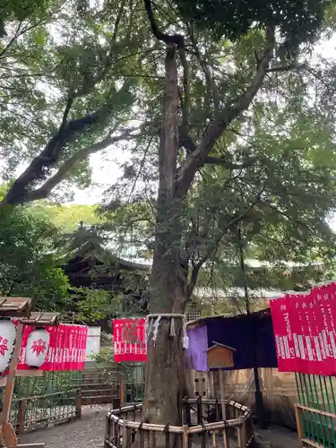 大宮八幡宮の自然