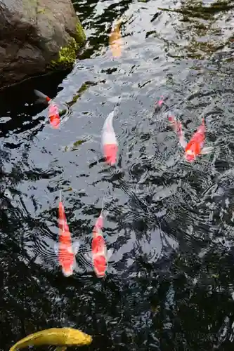 建部大社(滋賀県)