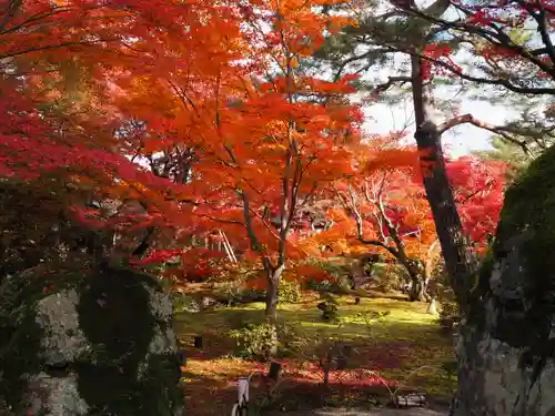 宝厳院(京都府)