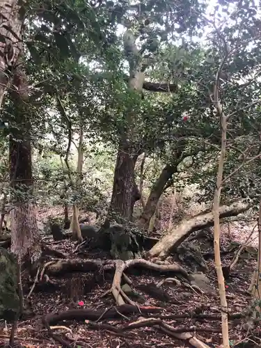 出雲大神宮の自然