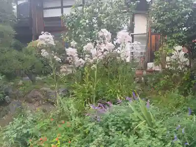 宗建寺(東京都)