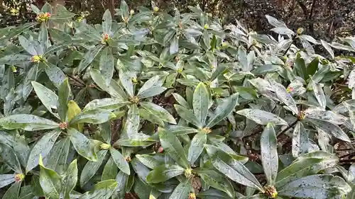 高良玉垂神社(宮城県)
