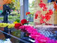 美幌神社の手水舎