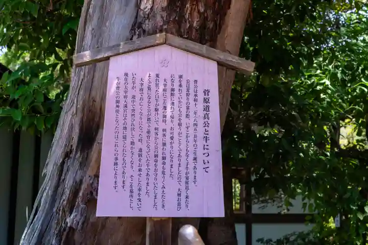 長岡天満宮(京都府)