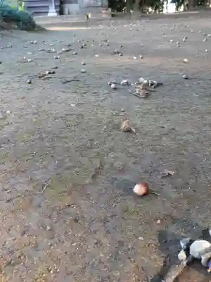 伏木香取神社(茨城県)